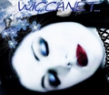-WiccaNet- -WiccaNet-